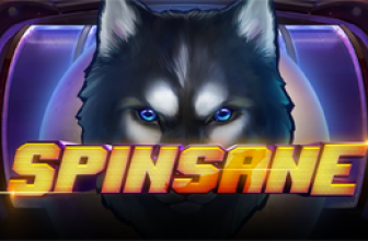 Spinsane